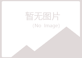 潍城区夏日会计有限公司